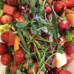 Frokostordning i Esbjerg