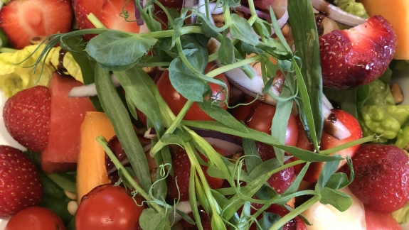 Frokostordning i Esbjerg